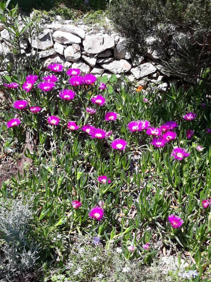 Holiday Home Villa Esperanca Veli Lošinj Eksteriør billede